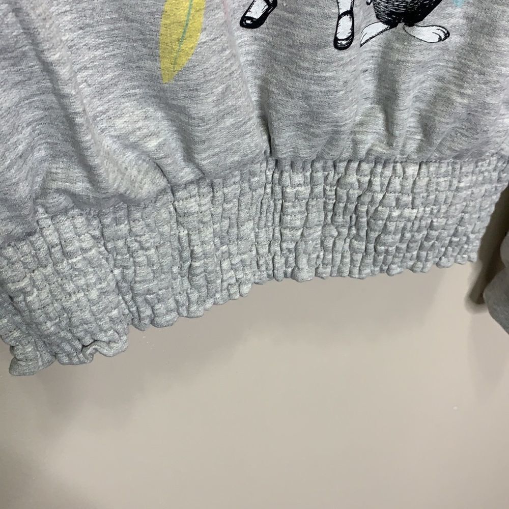 Alice in Wonderland gray sweatshirt medium (C1) - Picture 3 of 6